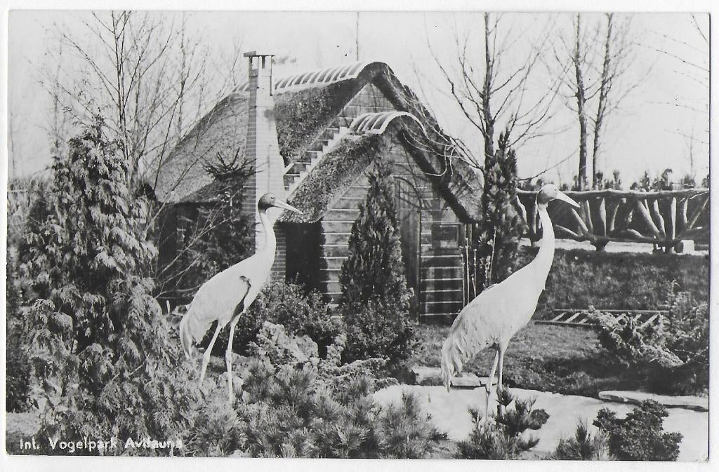 Alphen a/d Rijn Avifauna Oude gelopen Ansichtkaart (B3295, Ophalen of Verzenden, 1940 tot 1960, Gelopen, Zuid-Holland