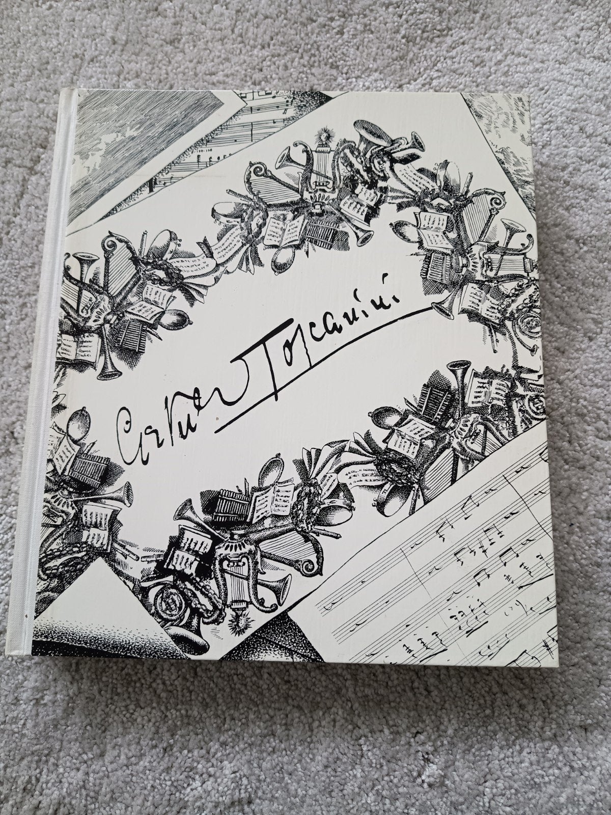 Il Maestro - Arturo Toscanini Boek, Ophalen of Verzenden, Zo goed als nieuw, Artiest, Arturo Toscanini