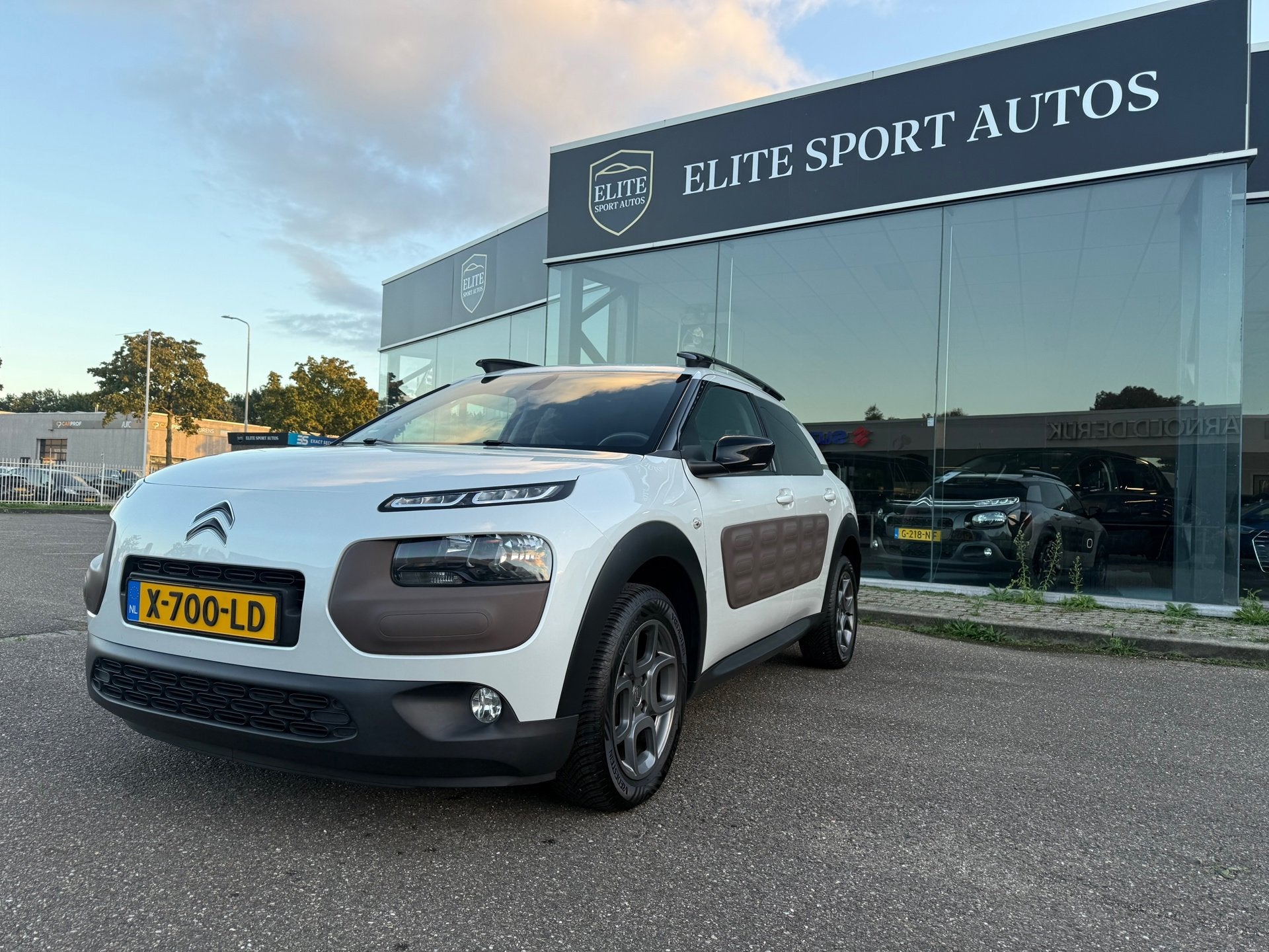 Citroen C4 Cactus 1.2 PureTech Shine I Camera I Cruise contr, Voorwielaandrijving, Euro 5, Stof, Gebruikt