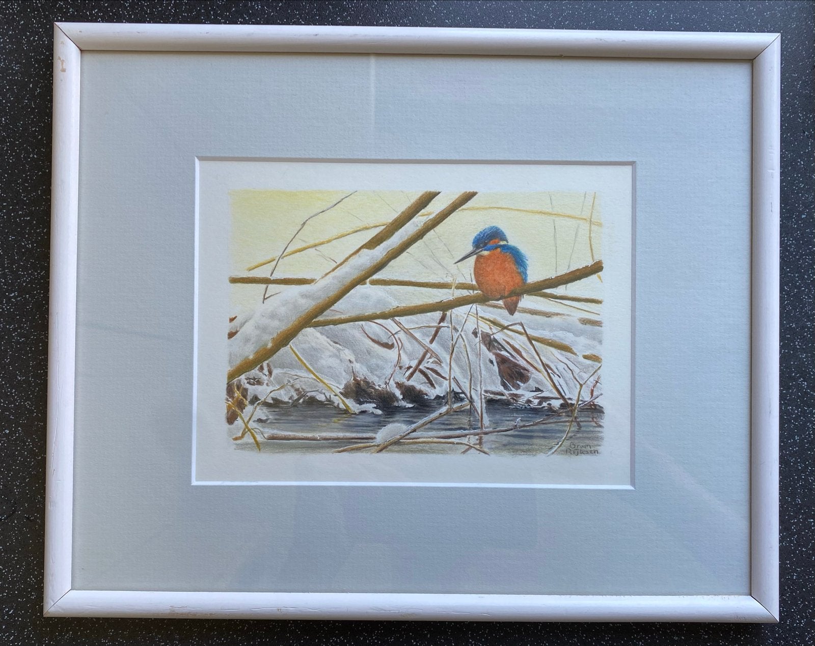 Potloodtekening Bram Rijksen - IJsvogel, Ophalen of Verzenden, Tekening, Potloodtekening, Ingelijst