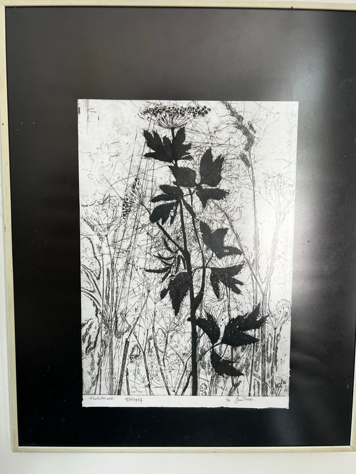 Ets 'Fluitenkruid' van Jan Tack (1997), Antiek en Kunst, Ophalen, 1950 - 1999, Ets, Flora en Fauna