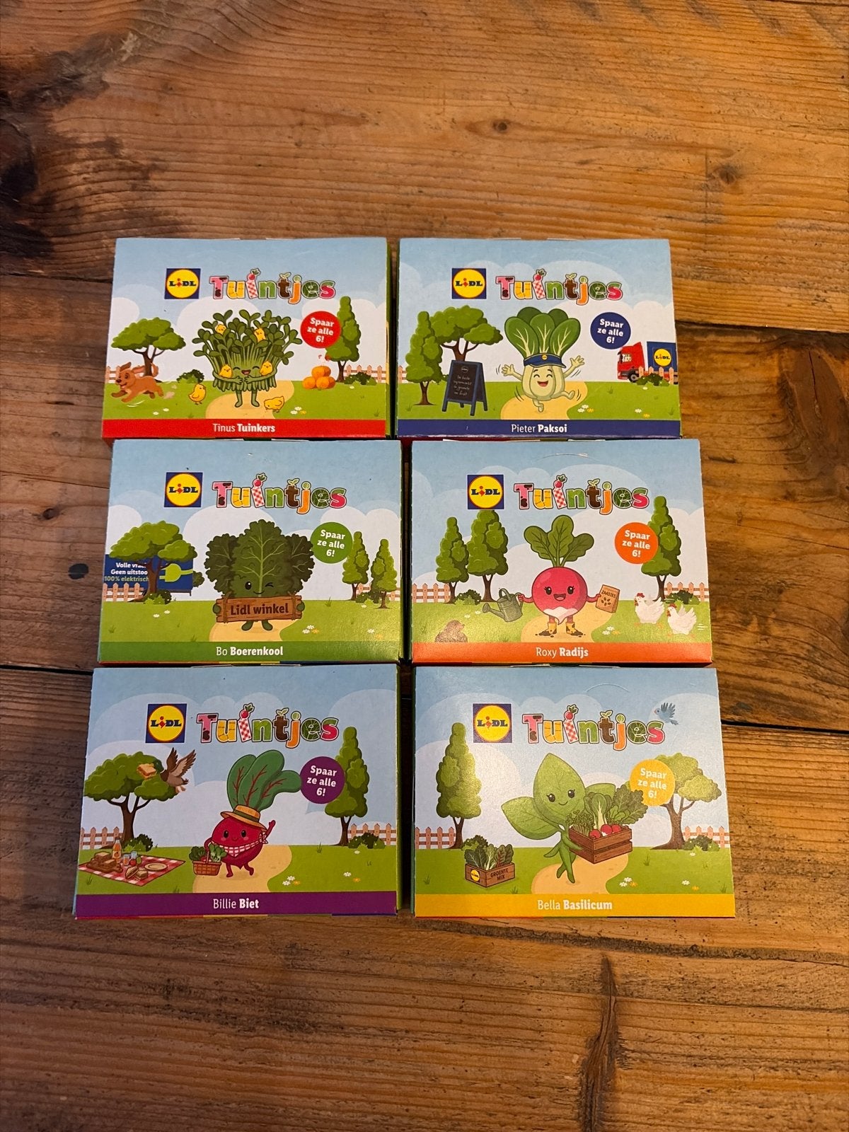 Lidl Tuintjes spaaractie - Complete set van 6, Lidl, Ophalen of Verzenden