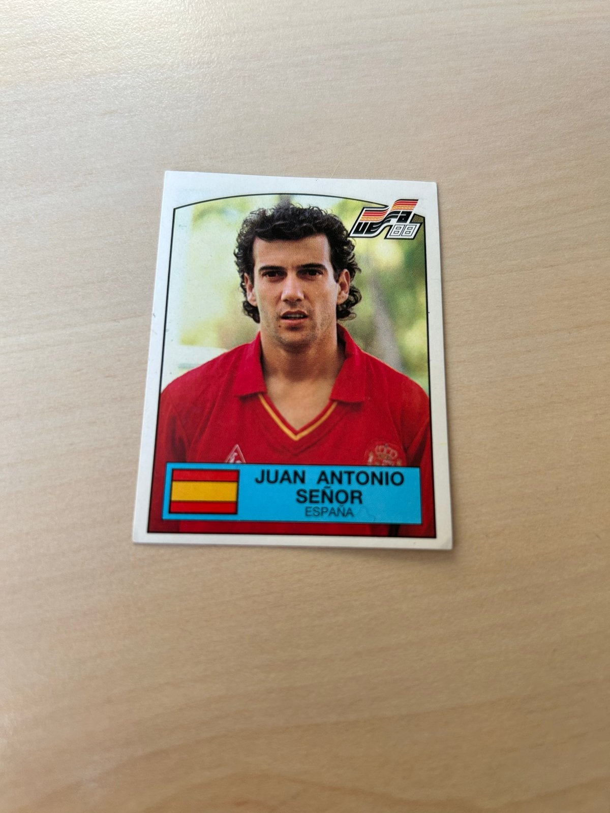 Panini EURO 88 Sticker Juan Antonio Señor Spanje #142, Ophalen of Verzenden, Zo goed als nieuw, Sticker
