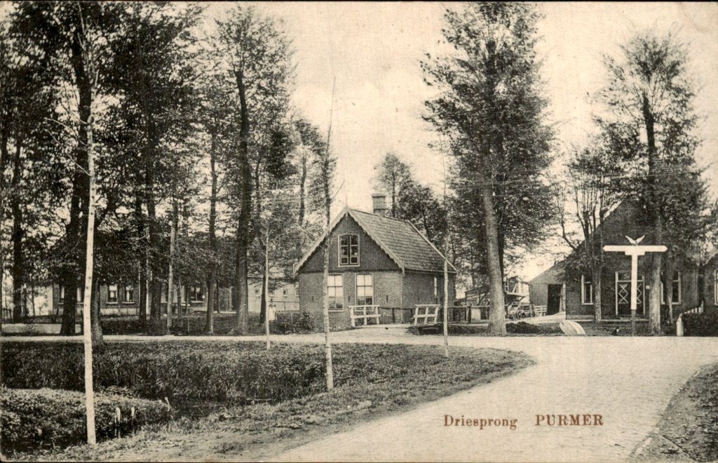 Purmer - Driesprong - Huis en bomen, Ophalen of Verzenden, 1920 tot 1940, Gelopen, Noord-Holland