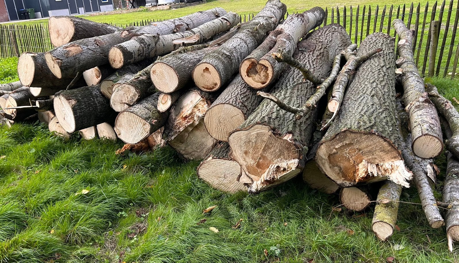 Haardhout stammen, Minder dan 3 m³, Ophalen