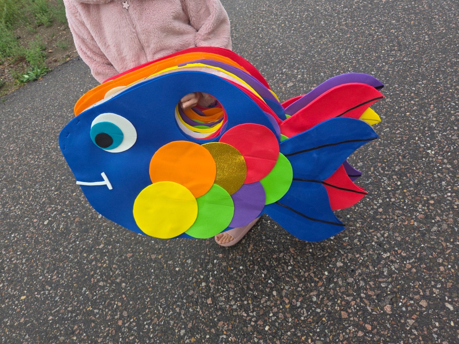 Carnavalskleding Regenboogvis: 12 volwassen, 6 kinder pakken, Ophalen, Gebruikt, Toneelattributen of Onderdelen