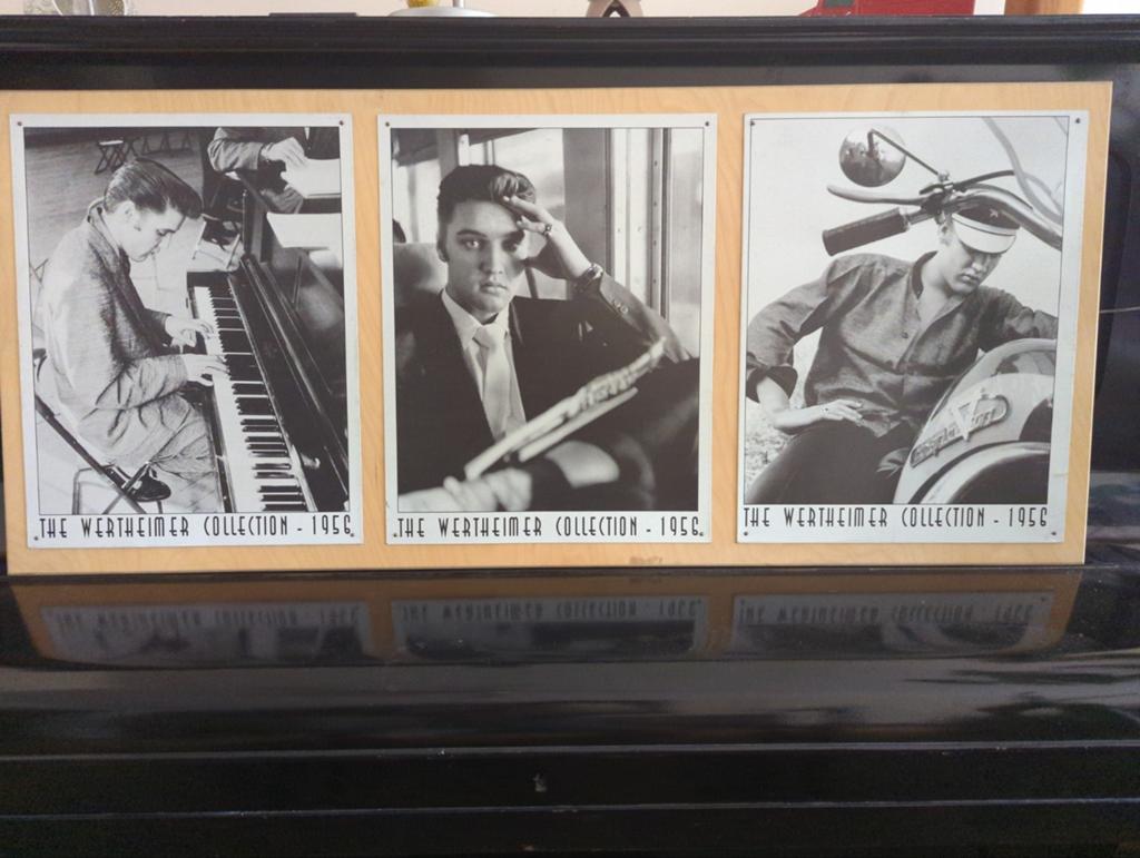 3 x Elvis foto repro's uit the Wertheimer collection 1956, Ophalen