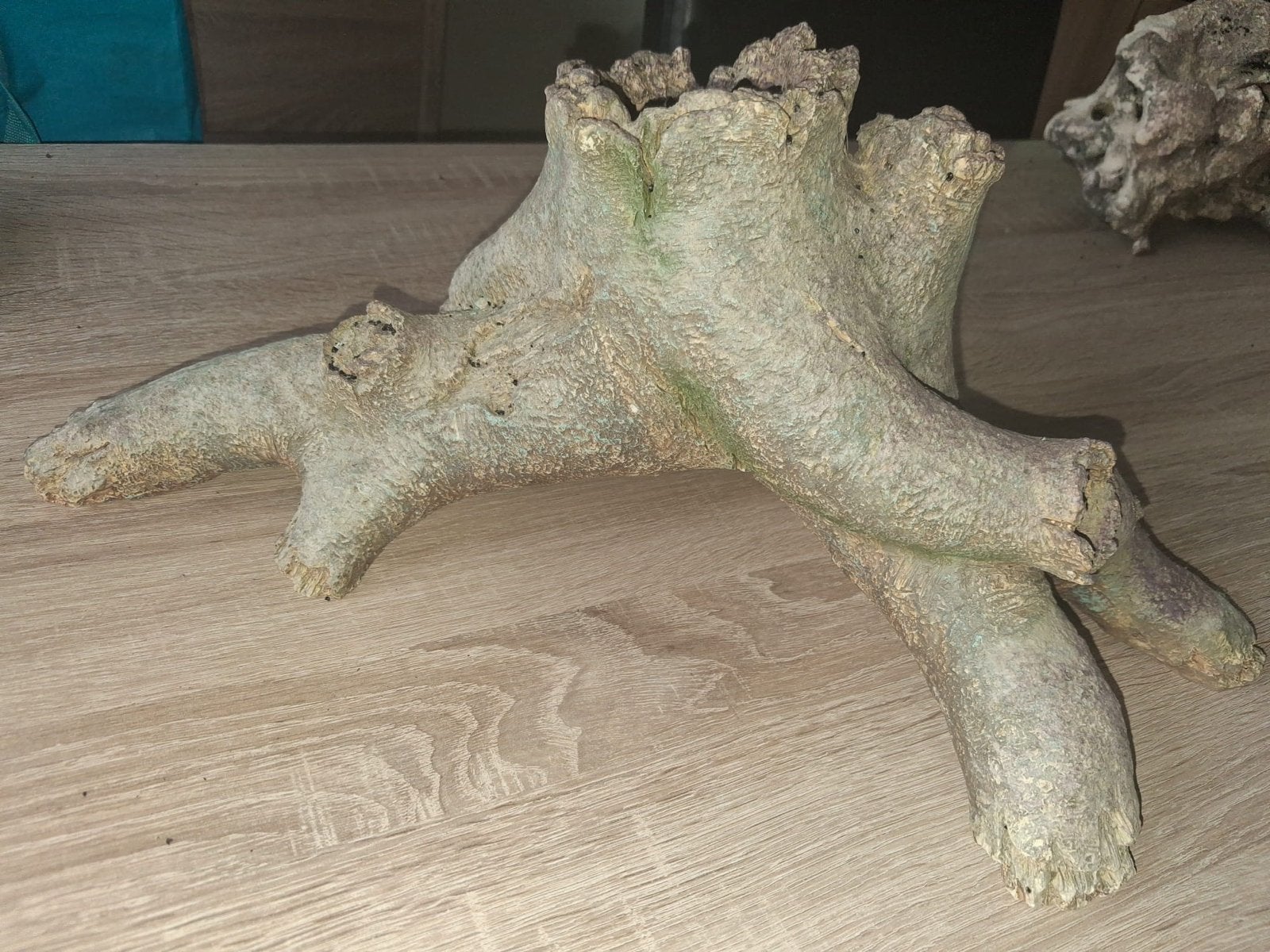 mooi decoratie stuk voor in aquariums en terraria., Dieren en Toebehoren, Ophalen, Plant(en), Steen of Hout