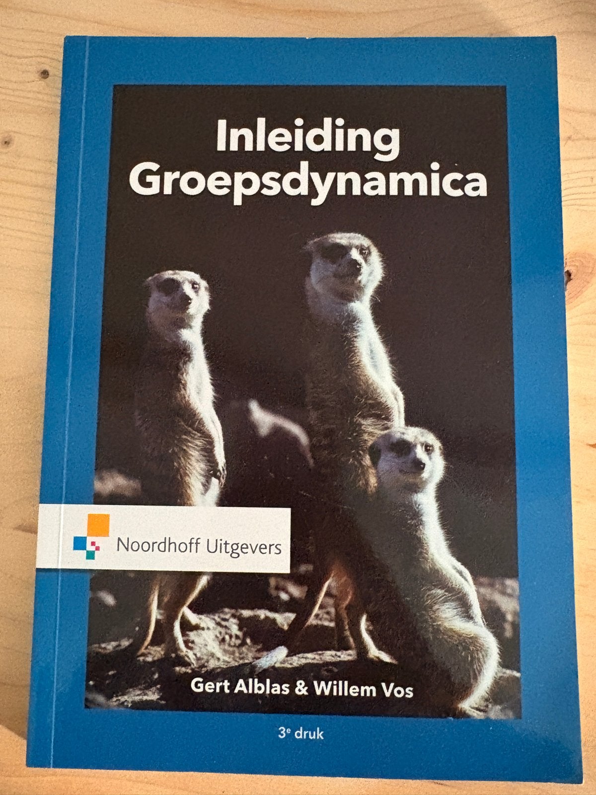 Inleiding Groepsdynamica - Gert Alblas & Willem Vos, Boeken, Studieboeken en Cursussen, Ophalen of Verzenden, Gamma, Zo goed als nieuw