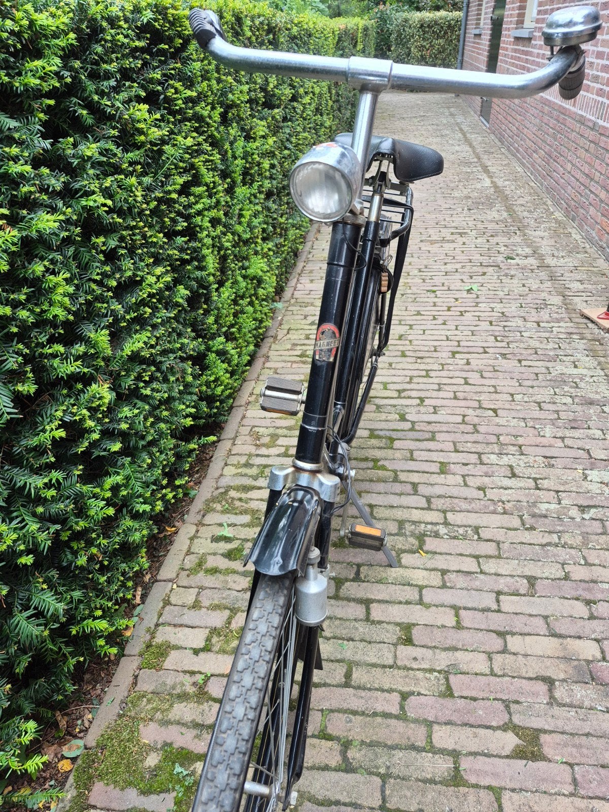 Vintage Gazelle Damesfiets - Klassiek Zwart, Ophalen, Terugtraprem, Gazelle, 53 tot 56 cm