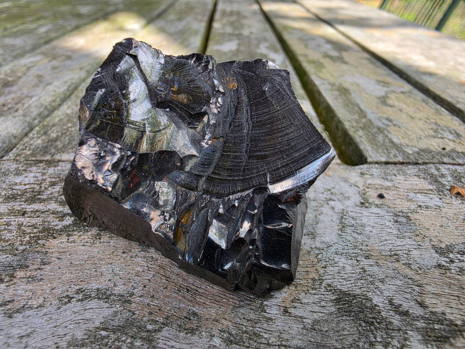 Edel Shungiet (Elite Shungiet) 64 gram, Ophalen of Verzenden, Mineraal