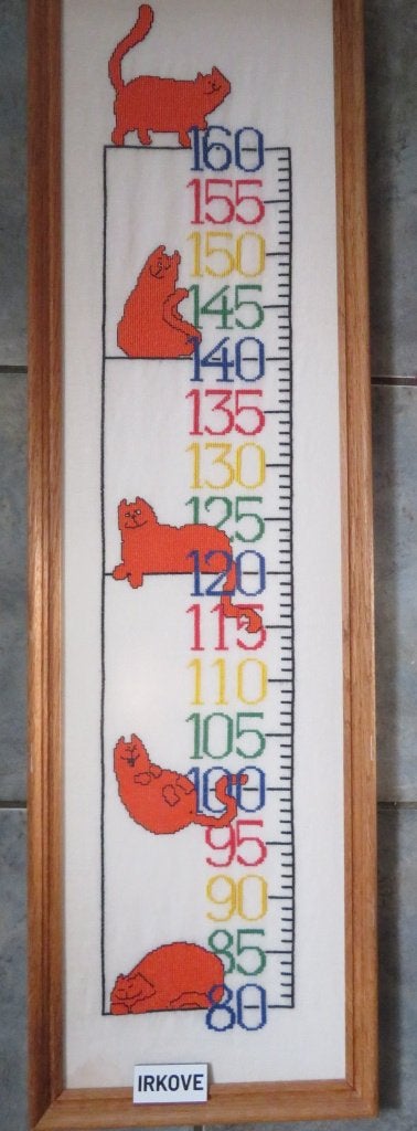DIKKIE DIK * GROEIMETER * In Lijst *, Kinderen en Baby's, Kinderkamer | Inrichting en Decoratie, Verzenden, Nieuw, Ingelijst, Wanddecoratie