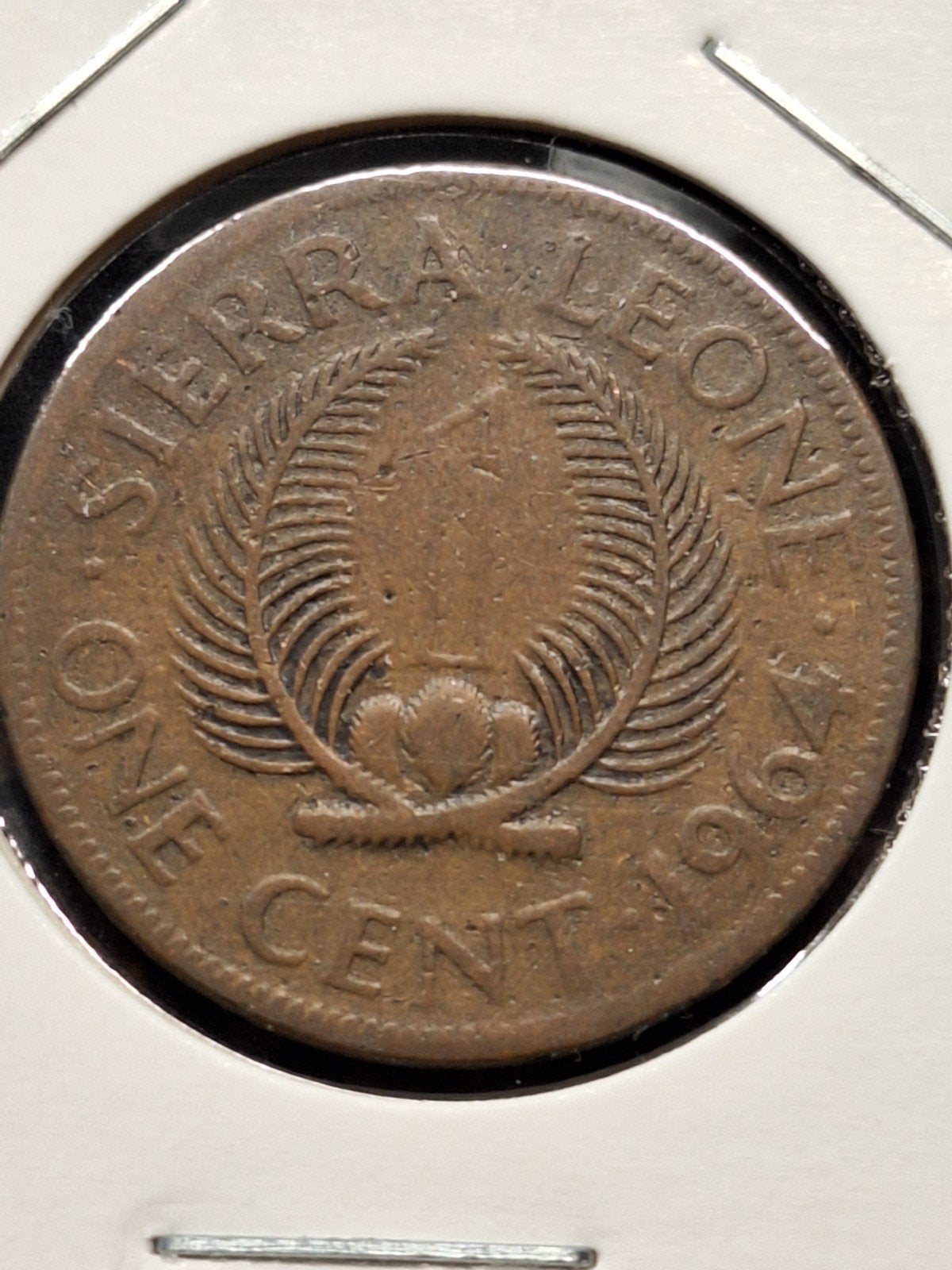 Sierra Leone 1 cent 1964, Ophalen of Verzenden, Overige landen