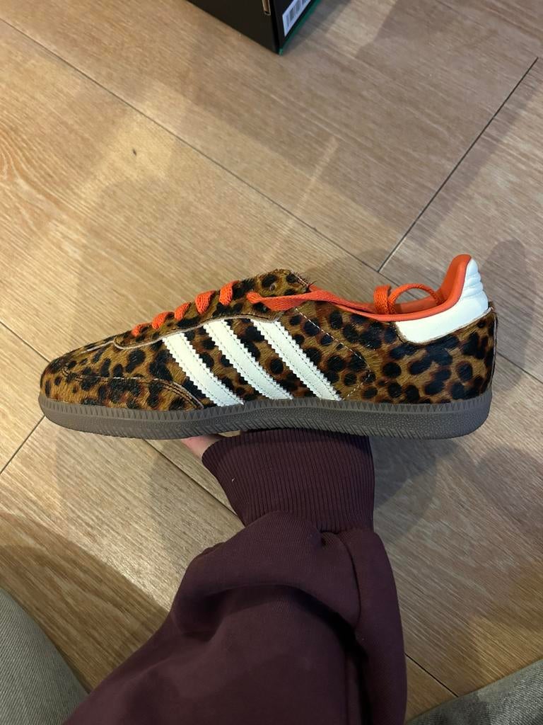 Adidas samba OG 'red cheetah', maat 39 1/3, Kleding | Dames, Schoenen, Ophalen of Verzenden, Nieuw, Rood, Sneakers of Gympen