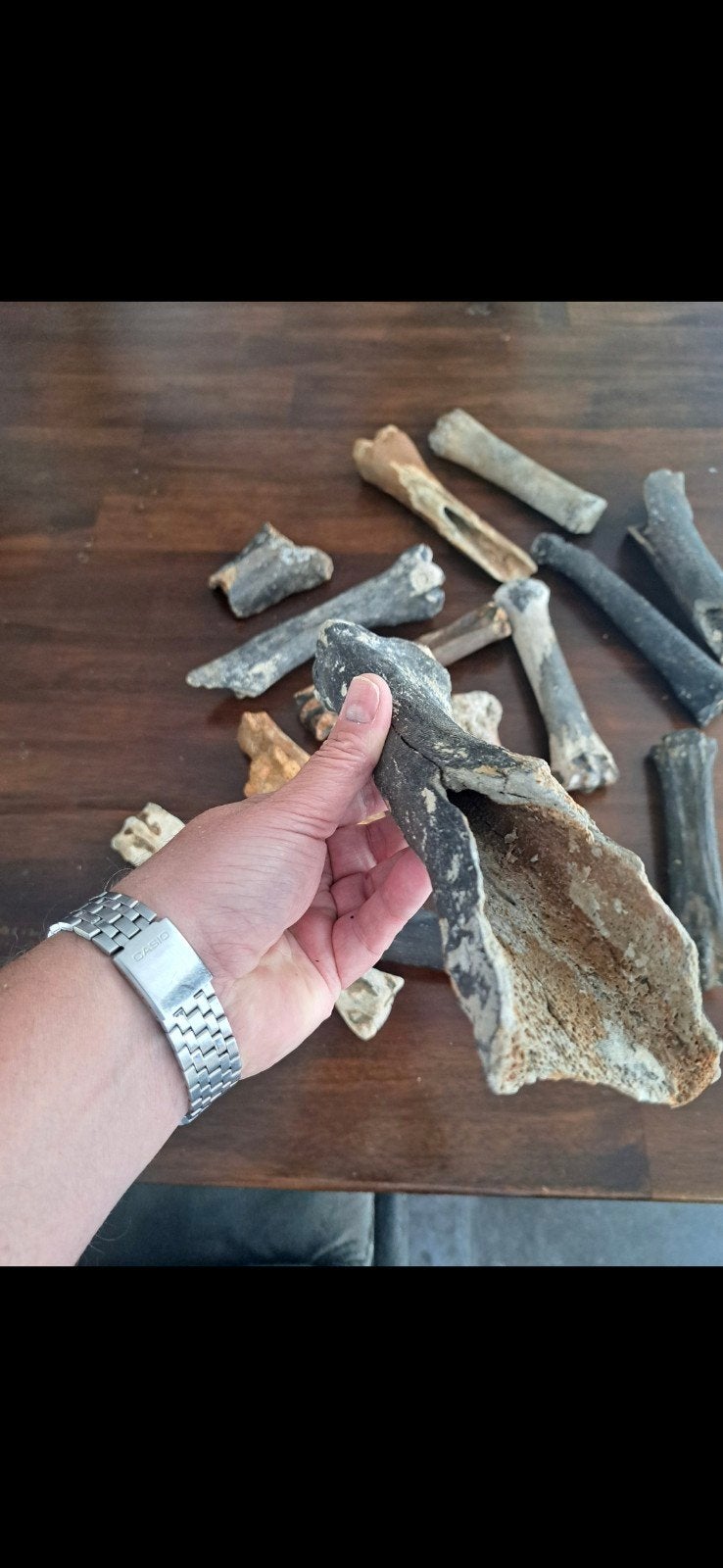 Mammoet, oerhert en oerpaard botfragmenten (44.000 jr), Verzamelen, Ophalen of Verzenden, Fossiel