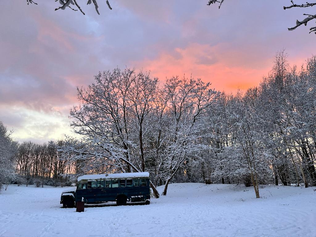 Vintage Bus Tiny House Project – Vol mogelijkheden, Ophalen