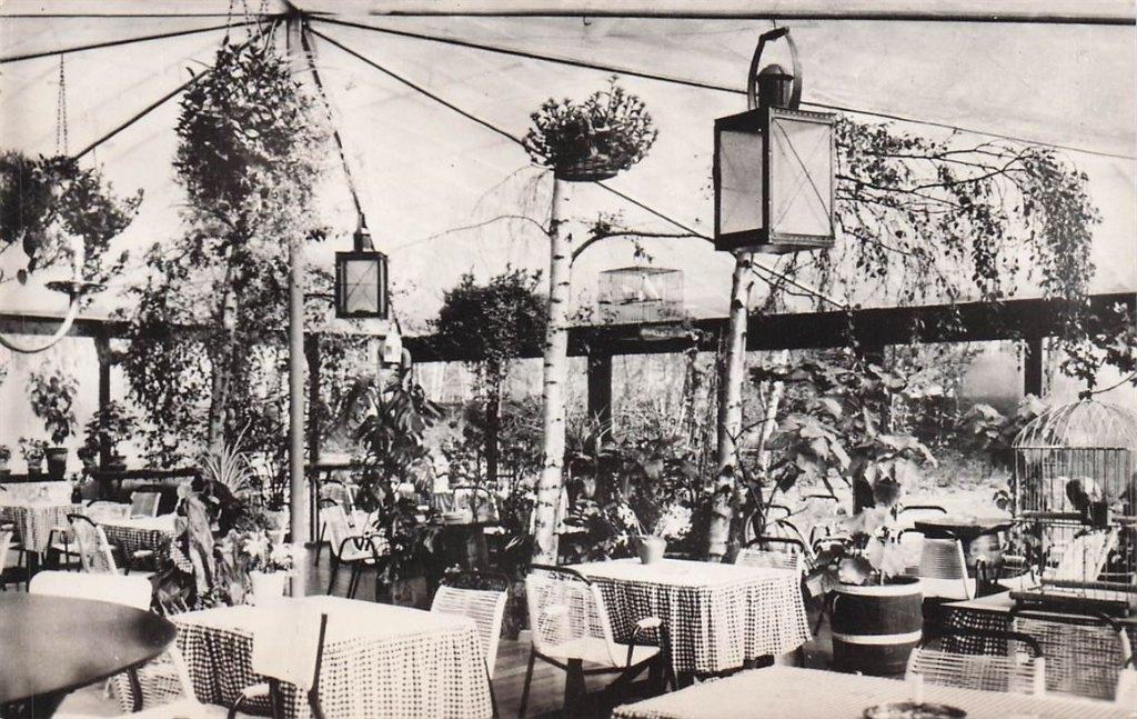 703-382-057 Chalet de Vijff Vlieghen te Warmond Zaans Terras, Verzenden, Voor 1920, Zuid-Holland