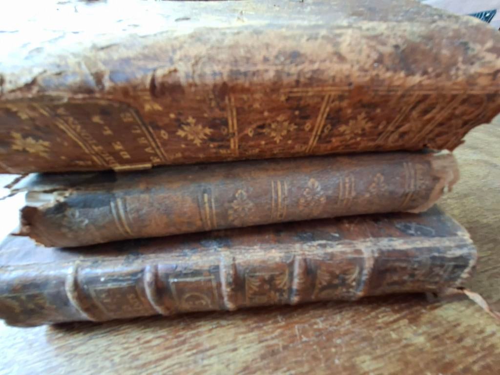 3 antieke Franse boeken 18e &19e eeuw samen of apart te koop, Antiek en Kunst, Antiek | Boeken en Bijbels, Ophalen of Verzenden