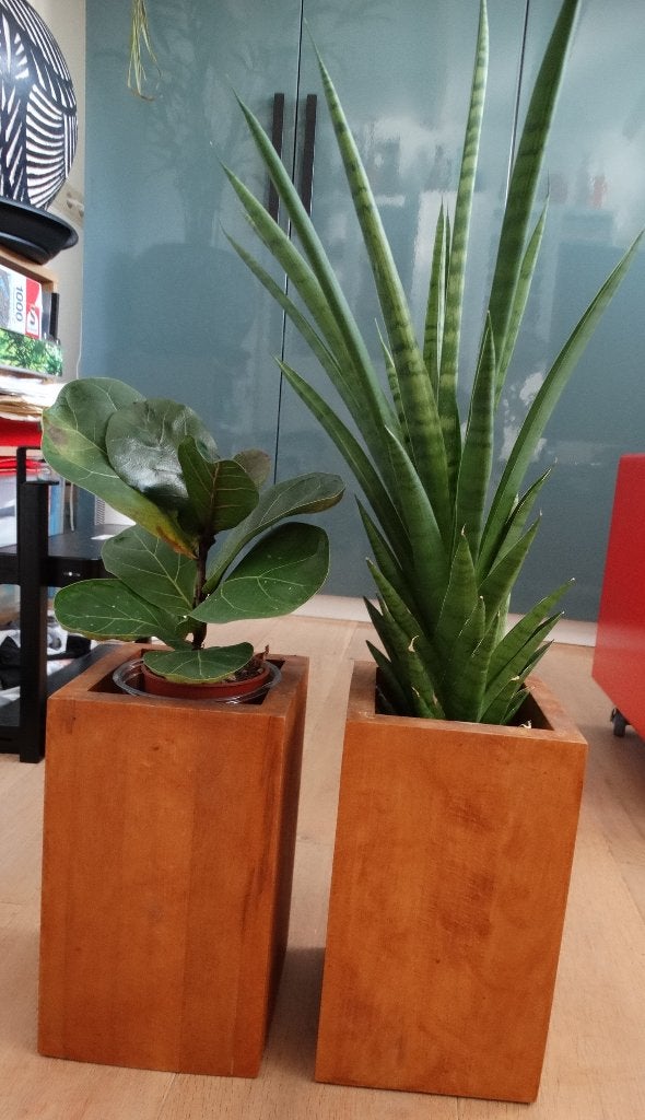 Drie teakhouten plantenpotten, binnenmaten 11 x 11 x 22 cm, Overige materialen, Gebruikt, Vierkant, Binnen