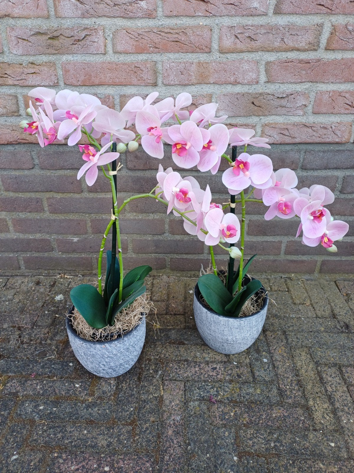 2x Kunst Orchidee met Pot - Roze Phalaenopsis, Ophalen, Binnen, Roze, Onderhoudsvrij