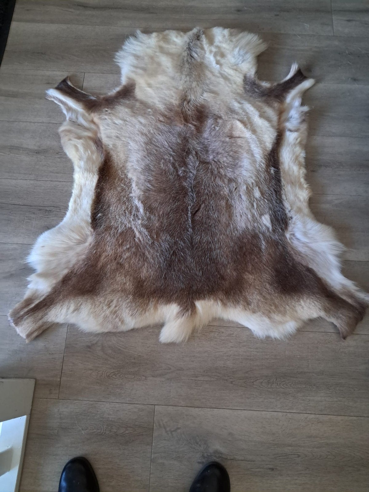 Prachtig rendiervel - Natuurlijke decoratie, Gebruikt, 100 tot 150 cm, Natuurlijk, Scandinavisch, 50 tot 100 cm
