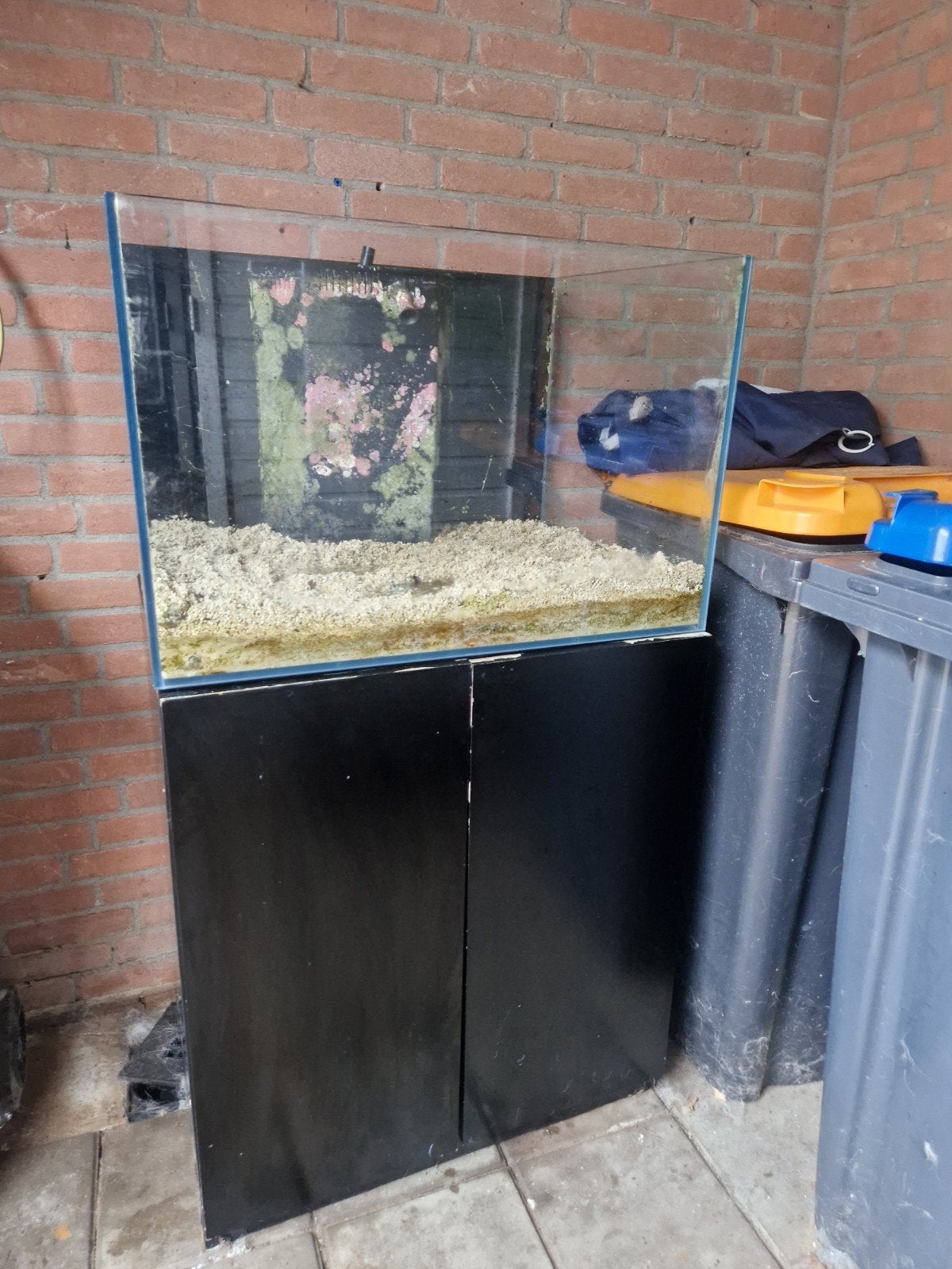 zee aquarium, Ophalen of Verzenden