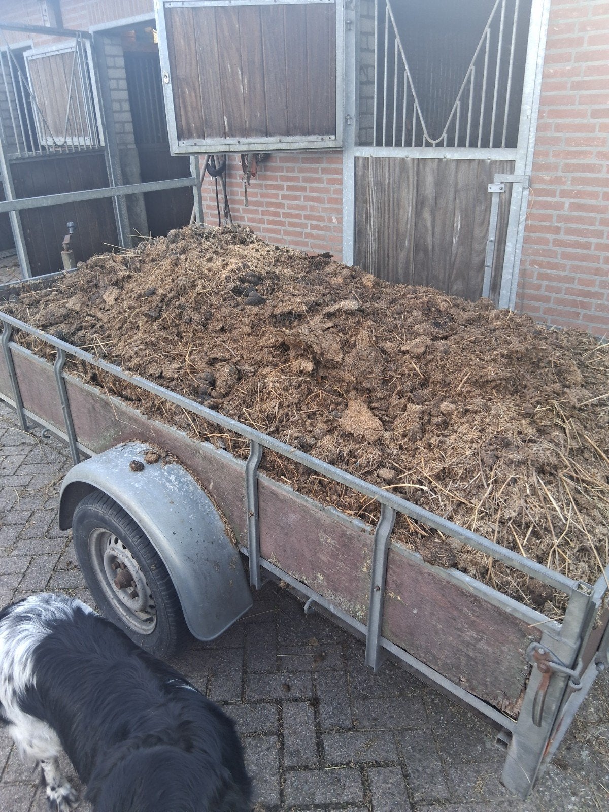 Mest, Tuin en Terras, Aarde en Mest, Ophalen