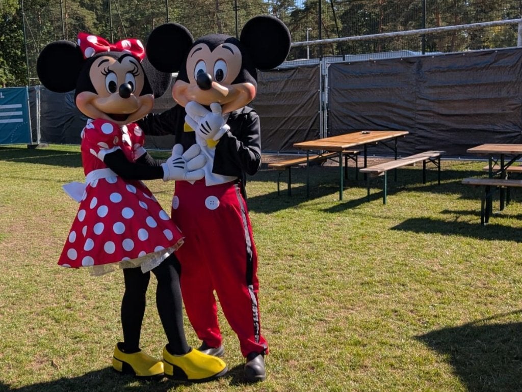 Mickey, Minnie of Donald Mascotte,  Events, kinderfeestje, Ophalen of Verzenden, Zo goed als nieuw, Verjaardag