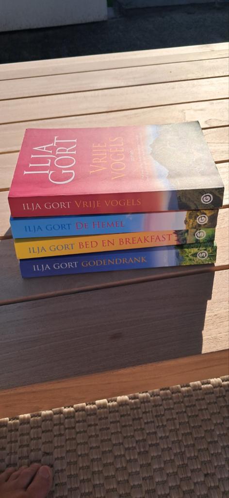 Ilja Gort 4x boeken roman, Boeken, Ophalen of Verzenden