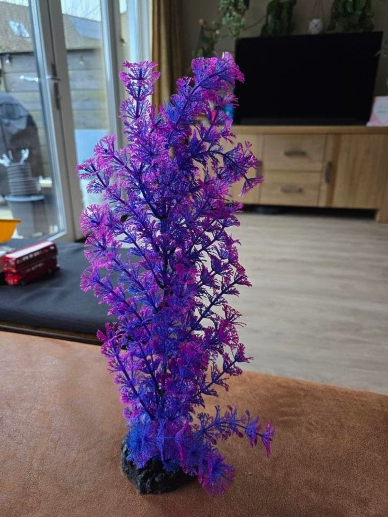 ORBIT Waterplant kunststof DeLuxe XL, Tuin en Terras, Vijvers, Ophalen, Zo goed als nieuw