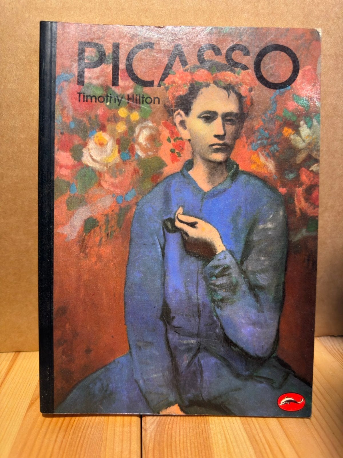 Picasso door Timothy Hilton - Kunstgeschiedenis, Gelezen, Timothy Hilton, Ophalen of Verzenden, Schilder- en Tekenkunst