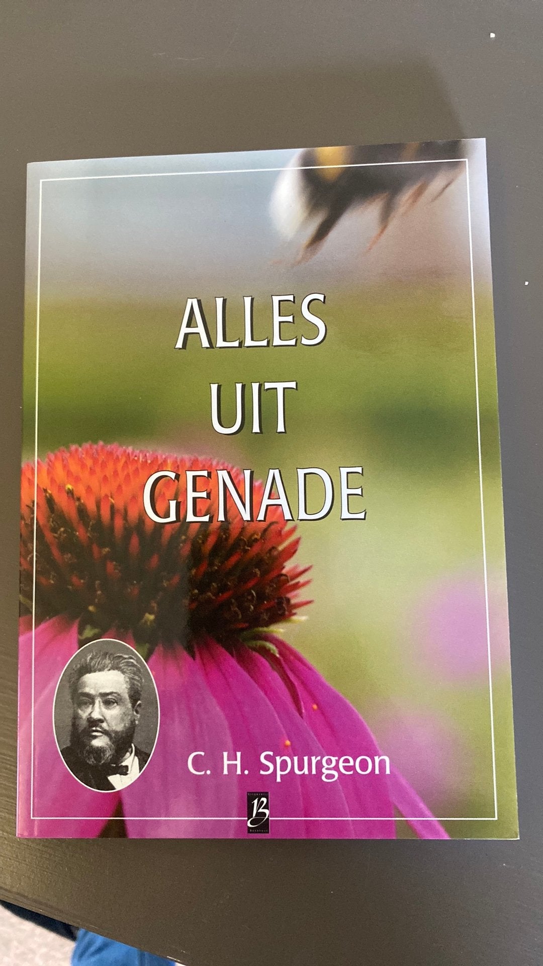 Spurgeon - alles uit genade (Nr. 24), Boeken, Ophalen of Verzenden, Nieuw