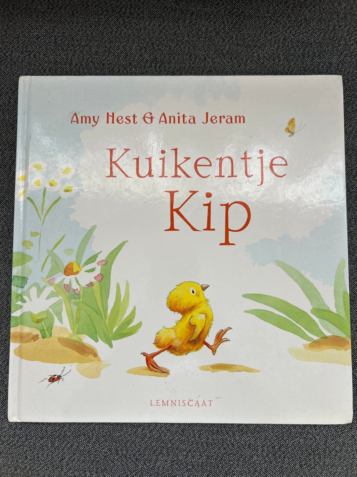 Kuikentje Kip - Amy Hest & Anita Jeram HARDCOVER, Ophalen of Verzenden, Zo goed als nieuw, 1 tot 2 jaar
