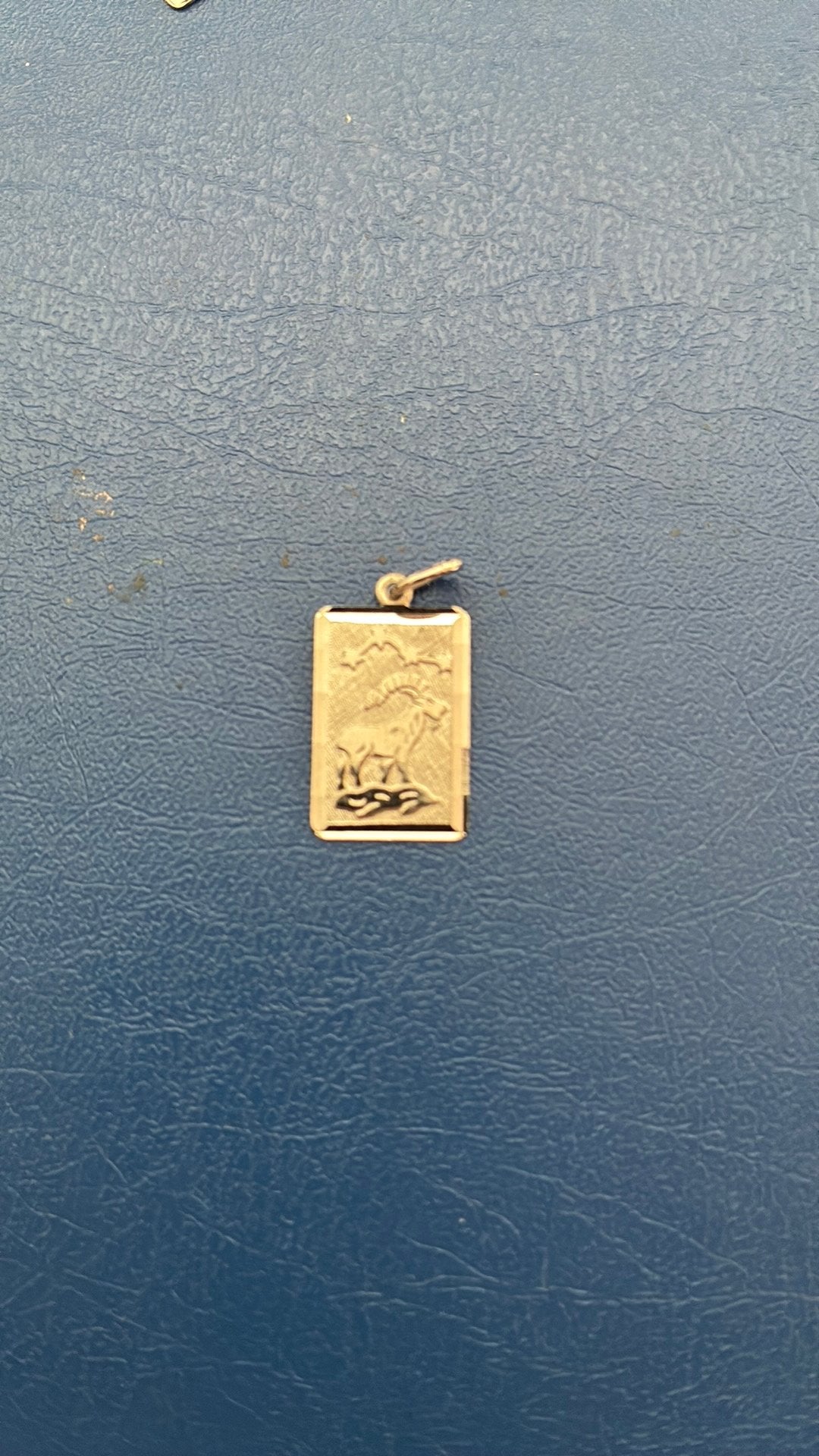 835 zilver hanger horoscoop steenbok zgan, Ophalen of Verzenden, Zo goed als nieuw, Zilver