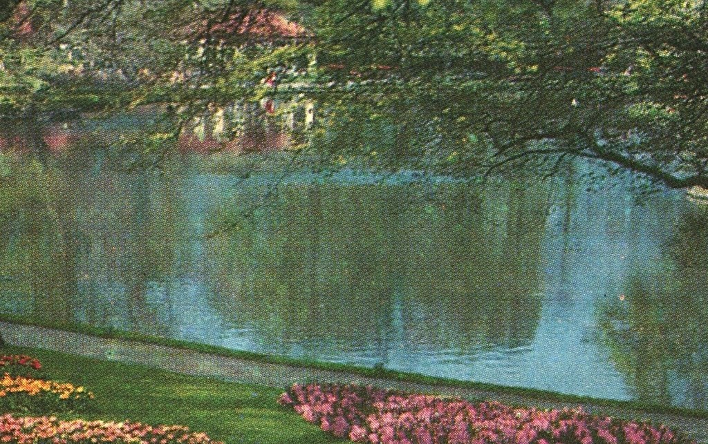 43733 Lisse ZH jr 70 Keukenhof Bollenvelden  _ Onbeschreven, Ophalen of Verzenden, 1960 tot 1980, Ongelopen, Zuid-Holland