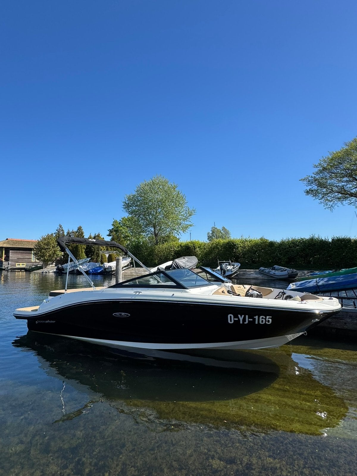 Sea Ray 190 SPX 250PK Mercruiser 2024 met Trailer  Searay, Watersport en Boten, Speedboten, Ophalen, Binnenboordmotor, 2 m, Viertaktmotor