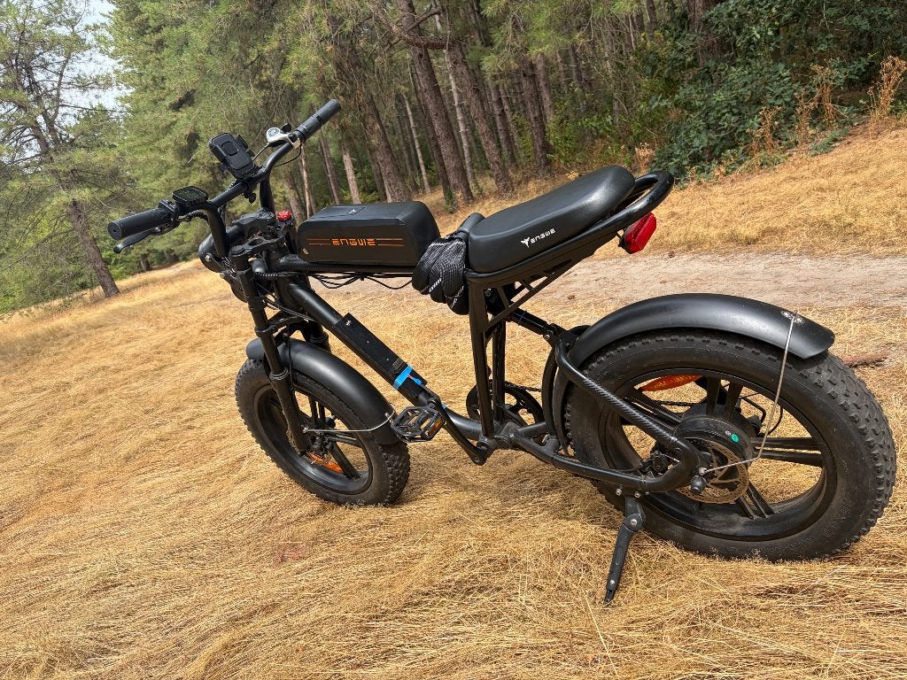 Engwe M 20, Fietsen en Brommers, Elektrische fietsen, Overige merken, Gebruikt, Ophalen of Verzenden, Minder dan 47 cm