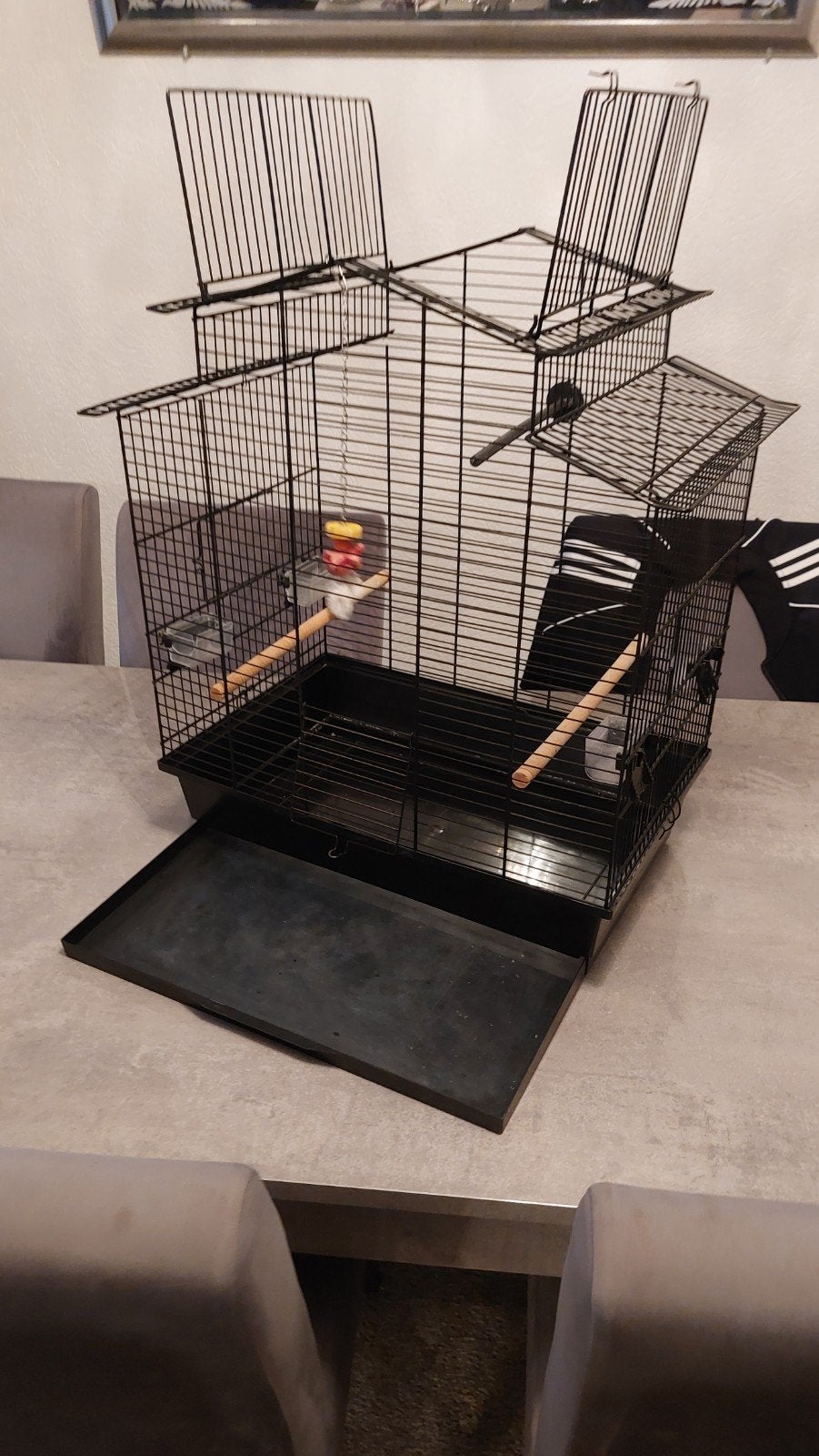te koop grote zwarte vogelkooi gebruikt, Ophalen, Gebruikt, Metaal, Vogelkooi