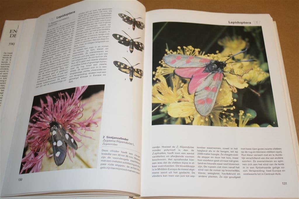 Grote Encyclopedie der Insekten., Ophalen of Verzenden, Gelezen