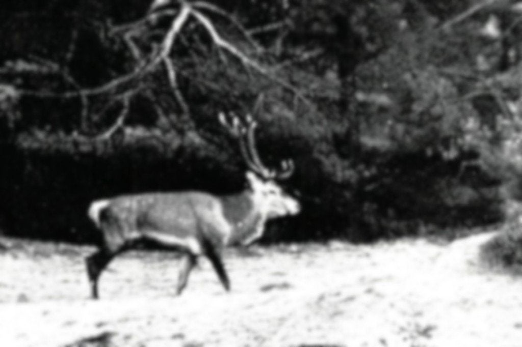 969006	Otterlo	Hoenderloo	Gld Hoge Veluwe	 	 VVV infokaart, Ophalen of Verzenden, 1940 tot 1960, Ongelopen, Gelderland