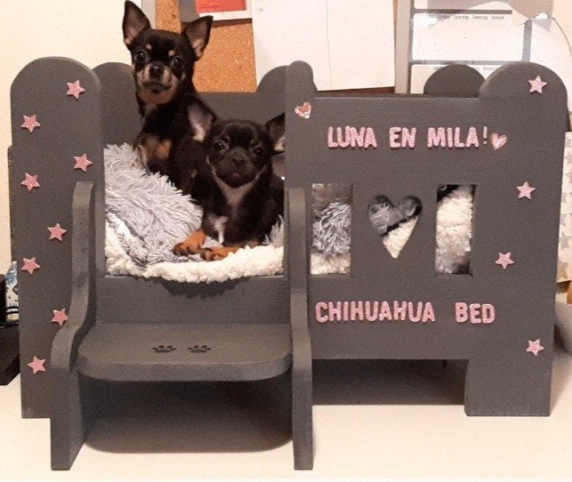 gezocht dit honden bed, Ophalen of Verzenden