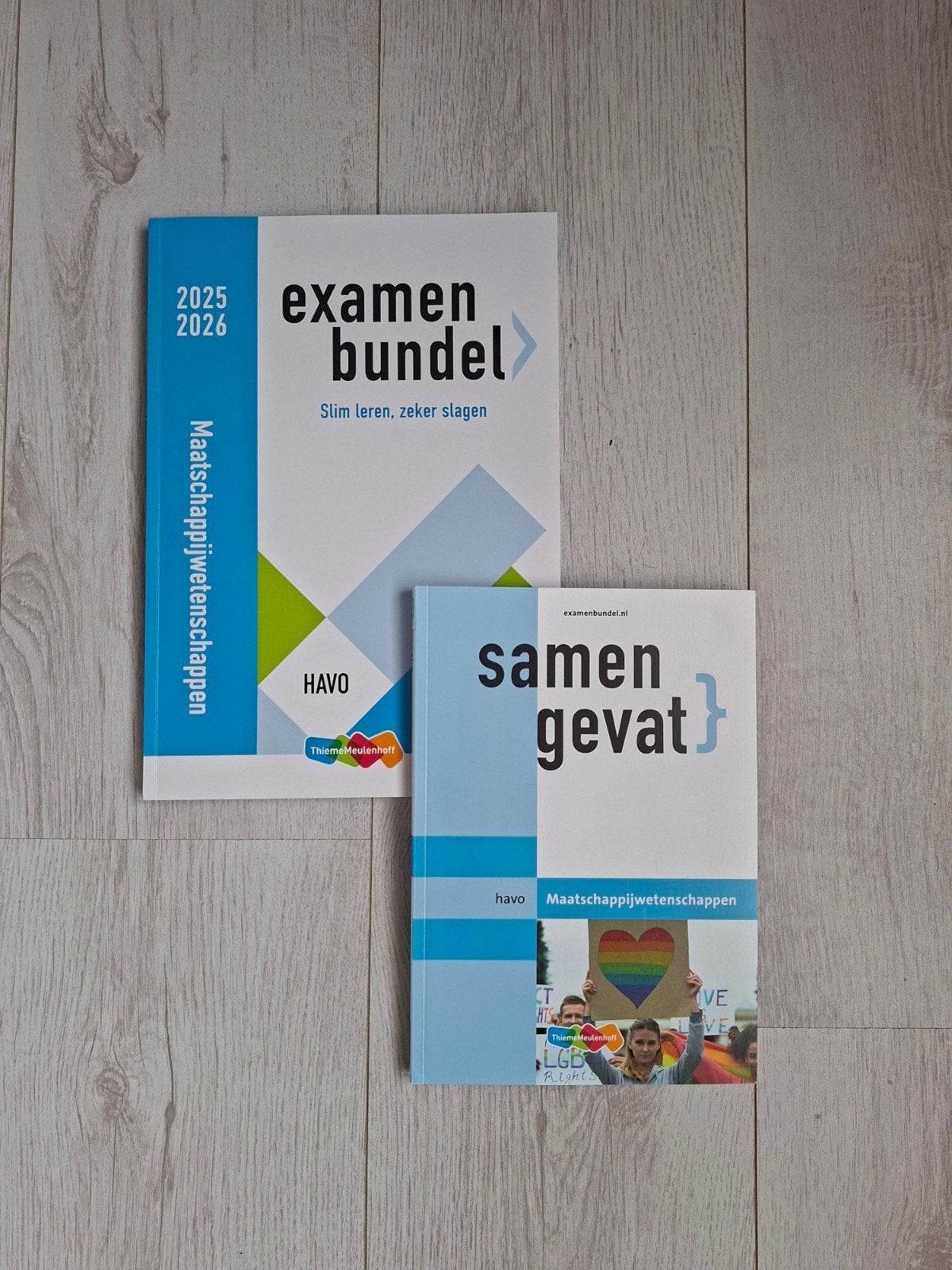 Examenbundel & Samengevat Maatschappijwetenschappen HAVO, Boeken, Ophalen of Verzenden, Zo goed als nieuw, HAVO, Maatschappijleer