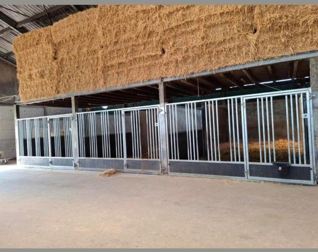 Stalling voor paard/ pony, Stalling