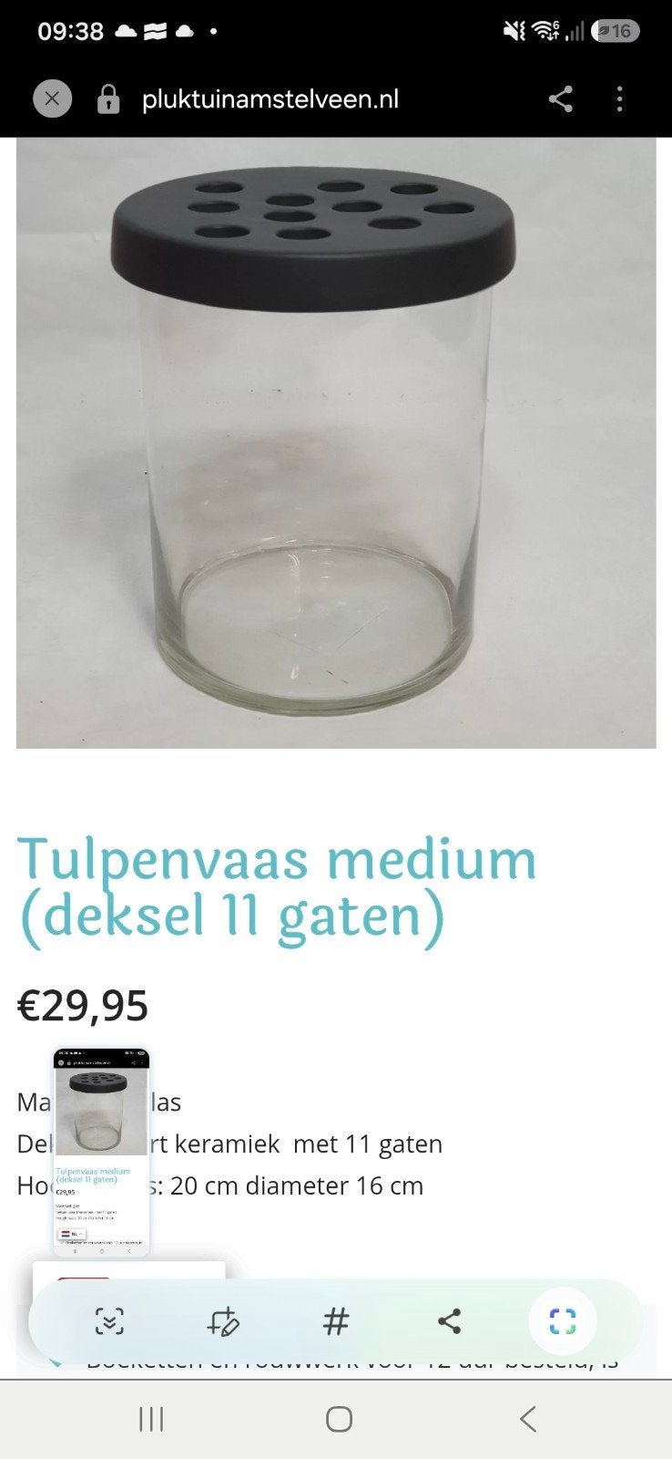Tulpenvaas medium met deksel en 11 gaten, Ophalen of Verzenden