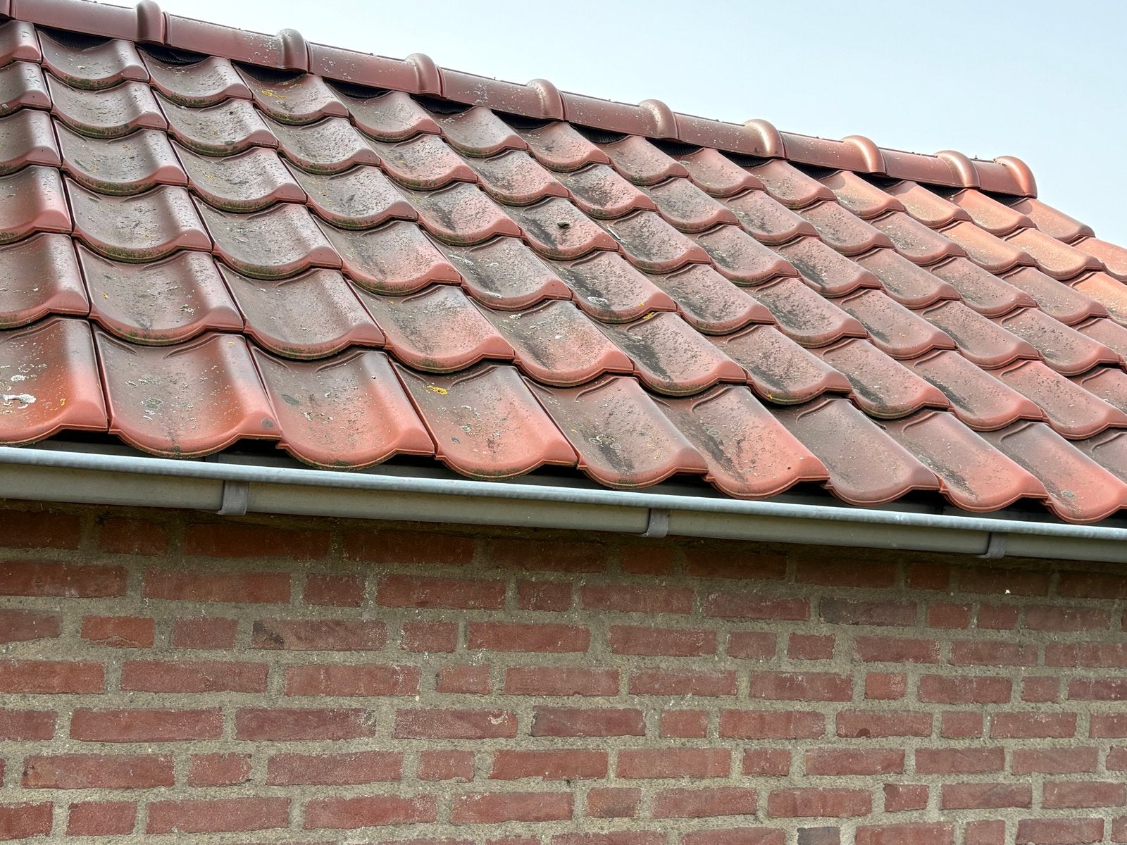Gebruikte rode dakpannen  vhv, Ophalen, Gebruikt, Steen of Klei, 15 m² of meer