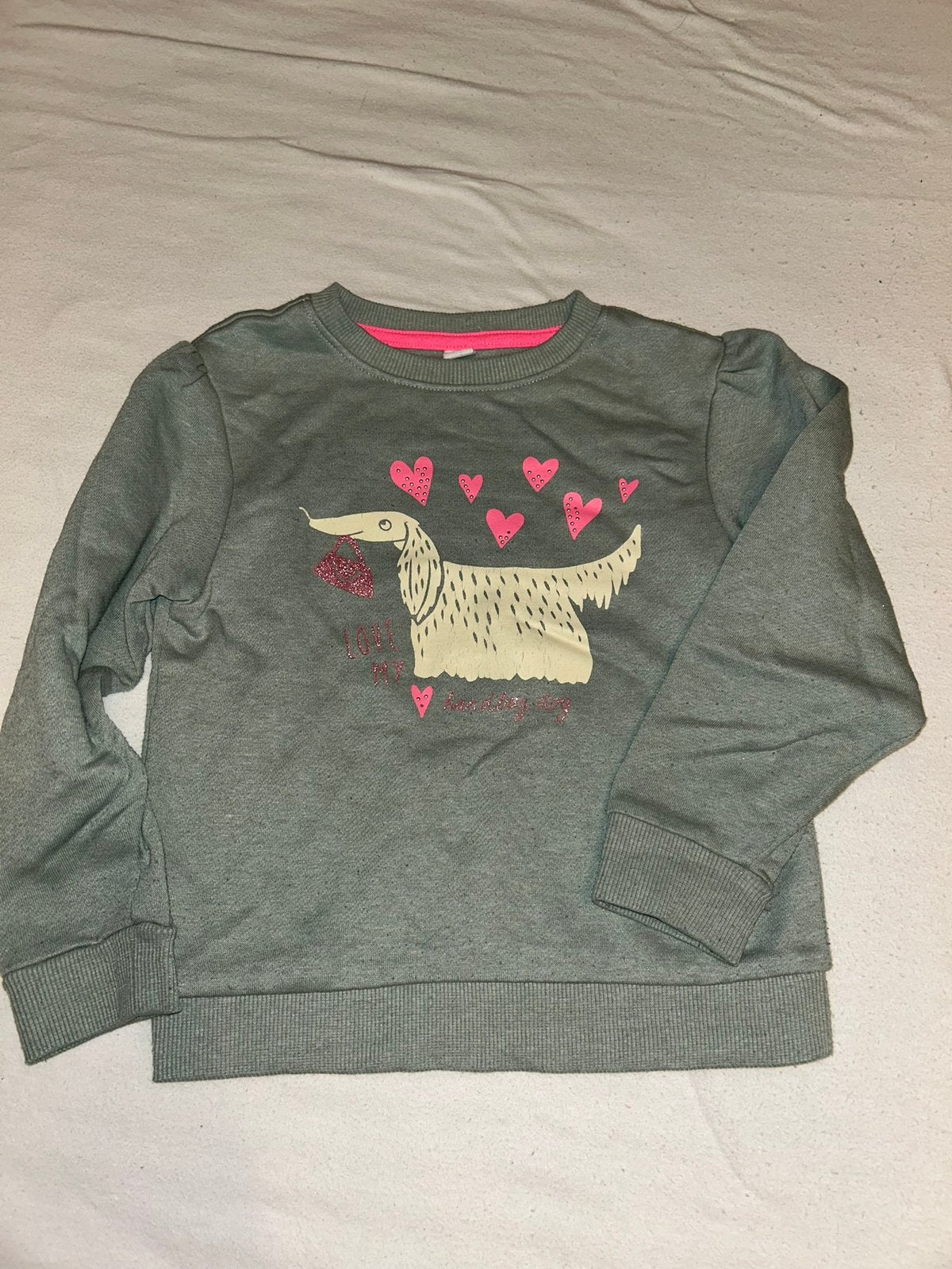 Leuke trui met hond - maat 110/116, Ophalen of Verzenden, Zo goed als nieuw, Meisje, Trui of Vest