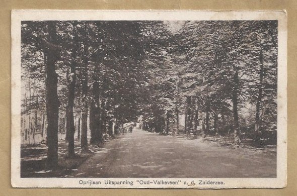 Oud-Valkeveen, Oprijlaan Uitspanning, ZUIDERZEE, Ophalen of Verzenden, Voor 1920, Gelopen, Noord-Holland