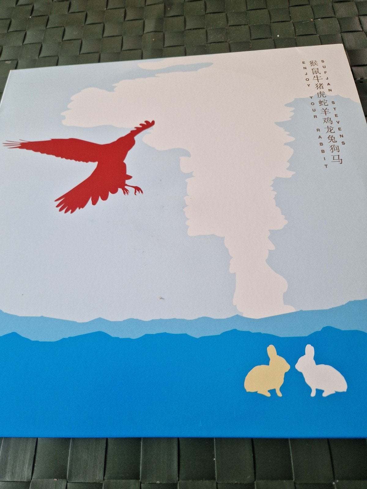 Sufjan Stevens - Enjoy Your Rabbit (Kleurrijke Inlay), Ophalen of Verzenden, 2000 - 2009, Zo goed als nieuw