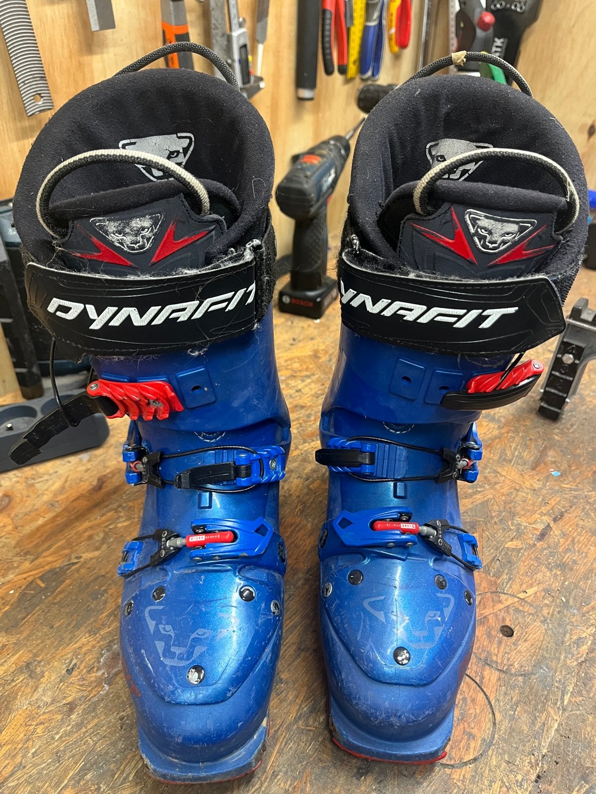 Dynafit Neo Skischoenen - Maat 40 (25.5), Sport en Fitness, Overige merken, Gebruikt, Schoenen, Ophalen of Verzenden