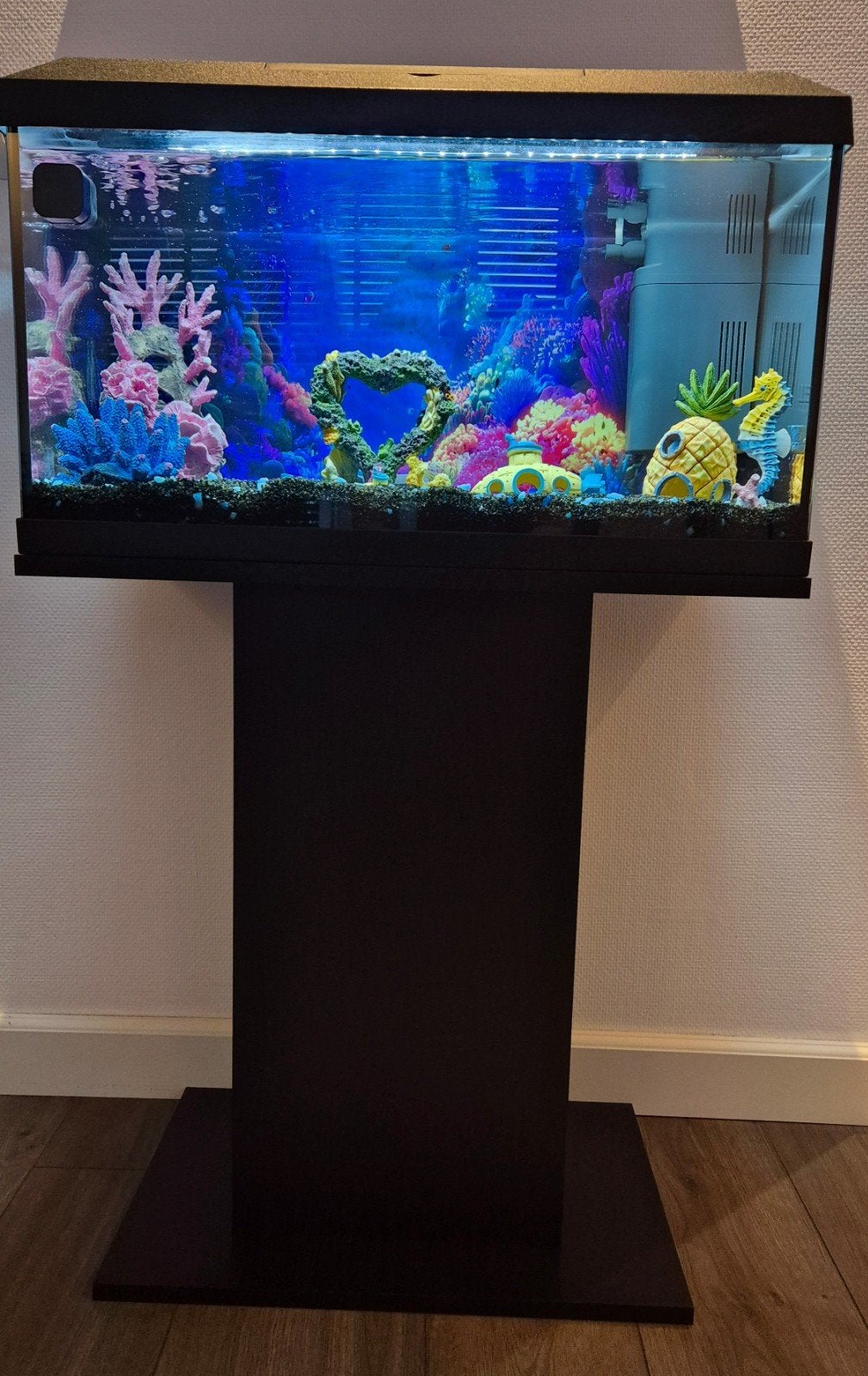 Juwel aquarium 60l met meubel en accessoires, Dieren en Toebehoren, Ophalen, Zo goed als nieuw, Leeg aquarium, Juwel